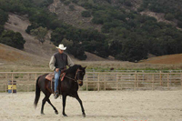 Starting under saddle