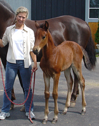 Gaysha at 3 weeks old.