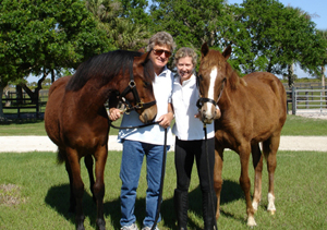 Gaysha as a yearling.