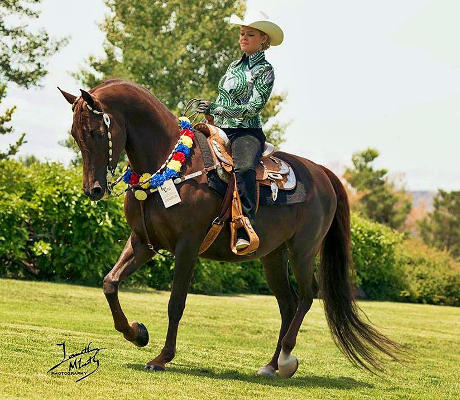 Jesse James, Farwest WP Jr Champion