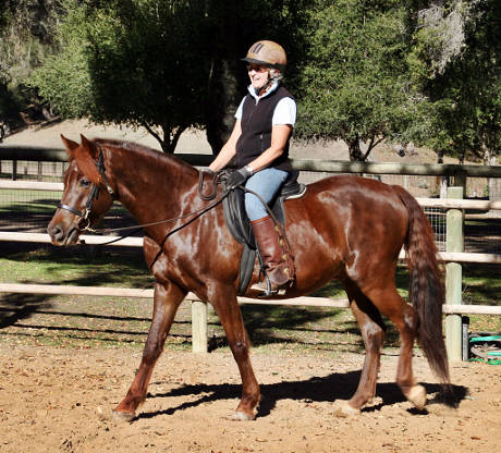 Jesse and Jackie - early training