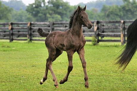 Legacy at 2 months old