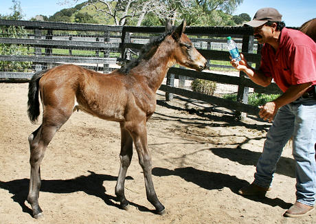 Mia 1 week old