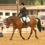 Jackie Brittain and WNC Rocket Man at the Morgan Medallian  Regional Show