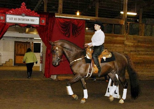 AMHA cowbowdressagedemo