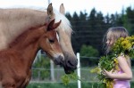 Eating the wreath of flowers from the little girl