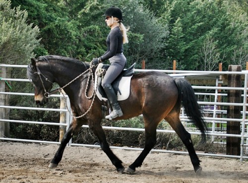 Kat and Lucky first ride