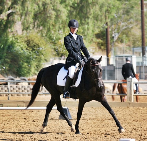 Bending trot