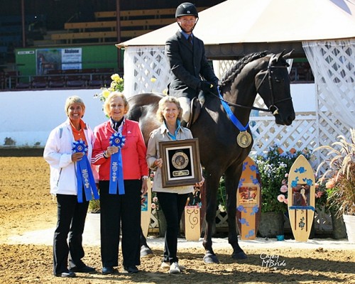 Legacy Dressage High Point Dressage