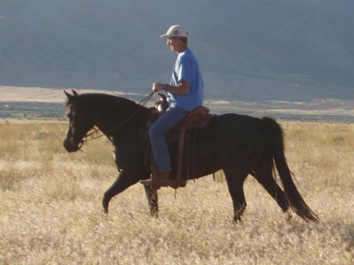 Evening Ride