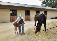 Quito and Pocket come home