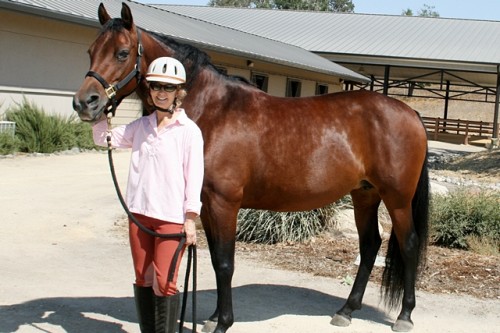 We love our new Mare, Heartsong