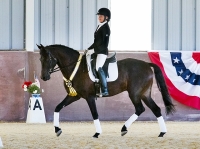 Dressage at the Gaits - July 4, 5 & 6, 2014