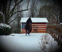 Winter Patriot