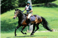 Pocket at HPF galloping between fences 8-09