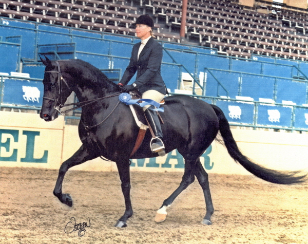 Broodmares Emotion