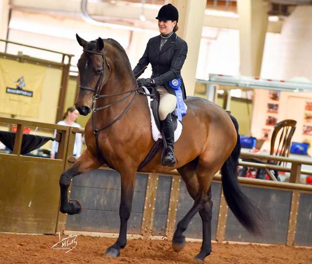 Mia-and-Mallory-win-hunter-opportunity-class